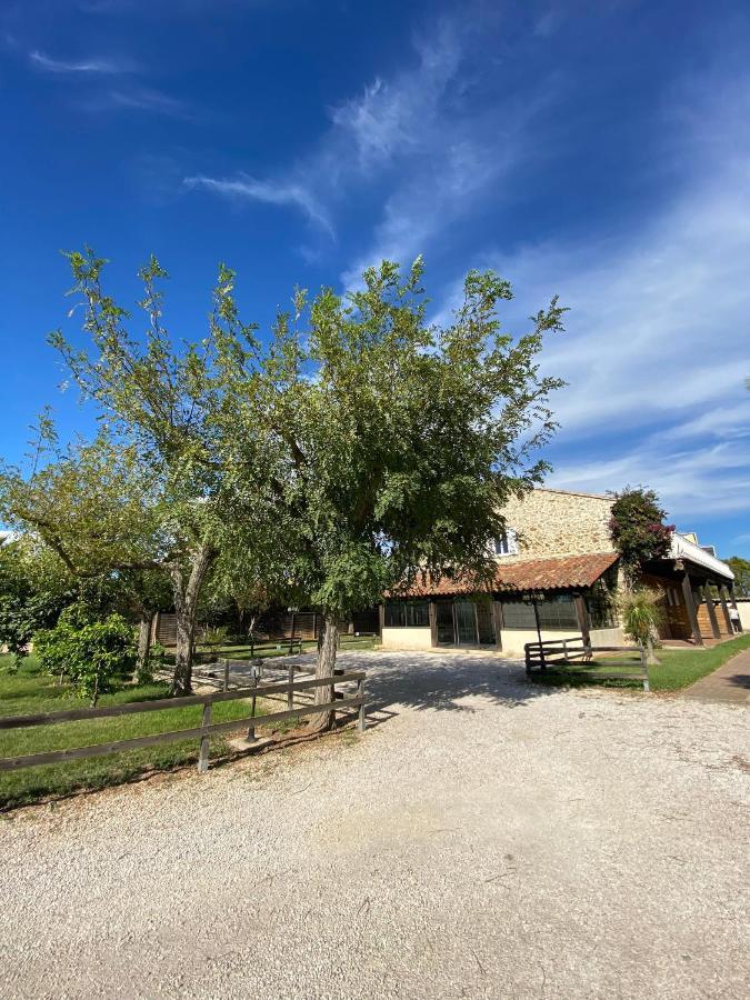 הייר Studio 2 Personnes Vue Marais Salant Parking Et Terrasse Proche Commodite מראה חיצוני תמונה